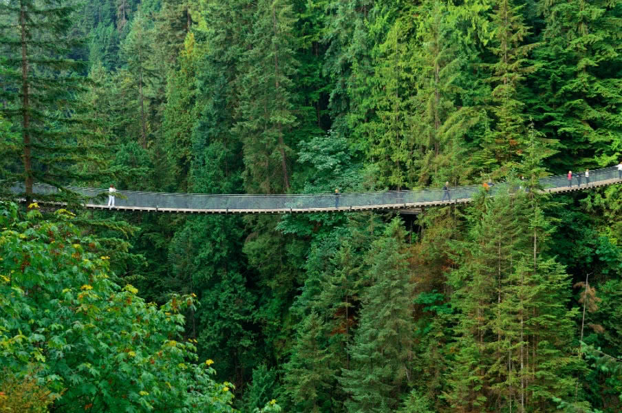 Capilano Suspension Bridge, Vancouver