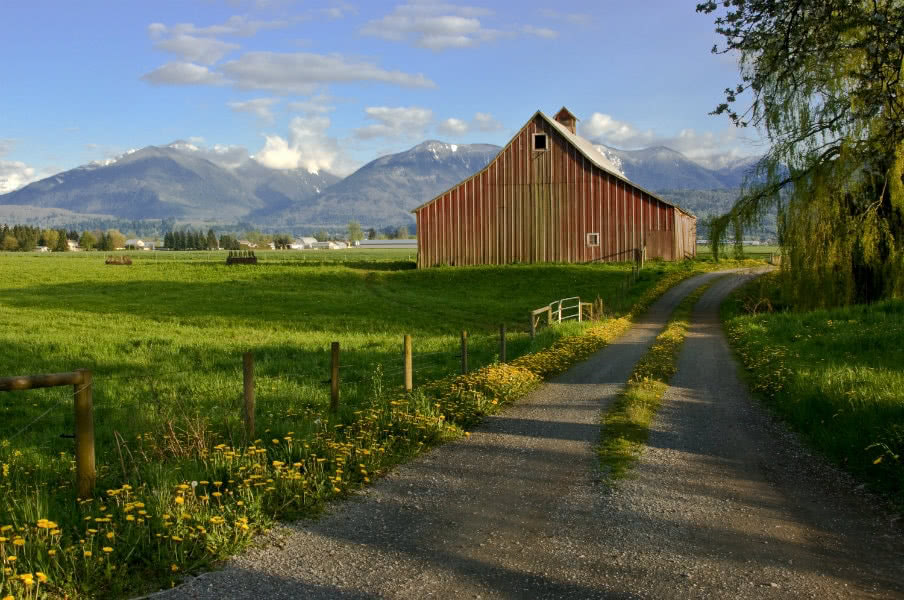 Farm in Chilliwack