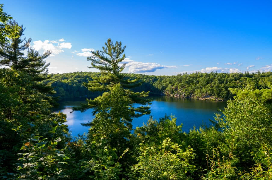 Gatineau Park near Ottawa, Wakefield Gatineau Park near Ottawa, Wakefield
