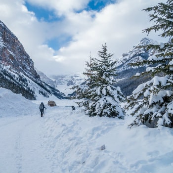 Lake Louise frozen in winter