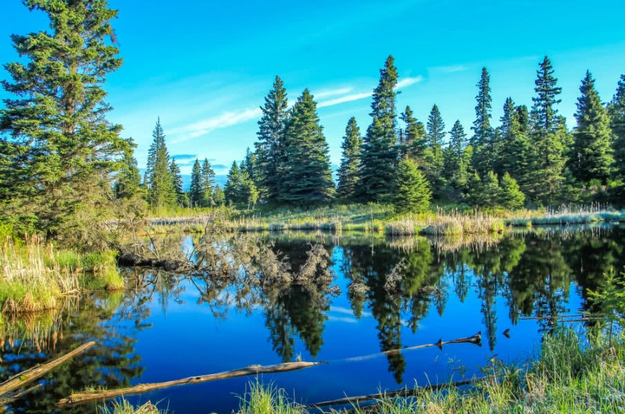Riding Mountain National Park
