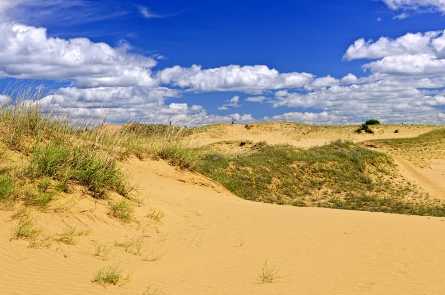 Spirit Sands in Spruce Woods