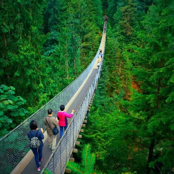 Capilano Suspension Bridge, Vancouver